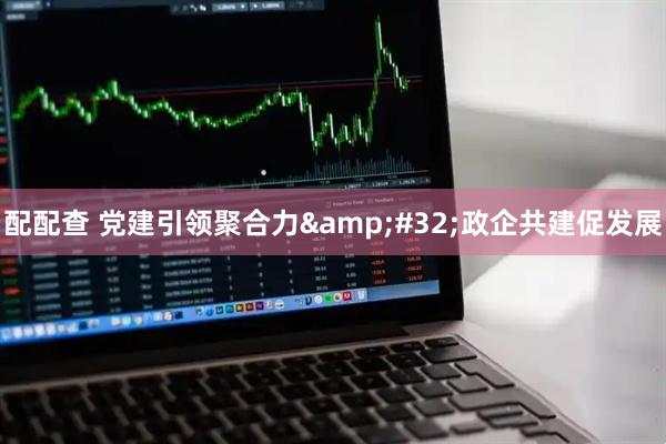配配查 党建引领聚合力&#32;政企共建促发展