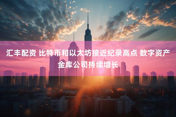 汇丰配资 比特币和以太坊接近纪录高点 数字资产金库公司持续增长